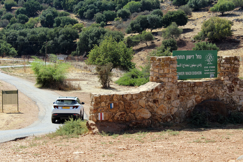 נחל דישון נחל דישון